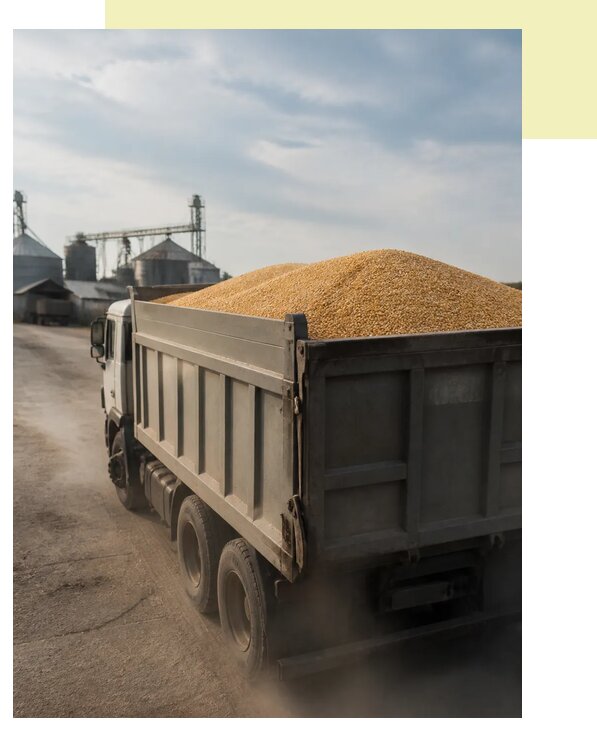 Перевозка сельхозпродукции навалом в Амурск по цене от 3100 р. | Агросервис-Мрс